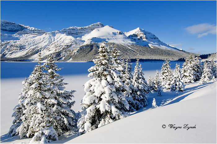 Bow Lake Banff National Park 102 by Dr. Wayne Lynch ©