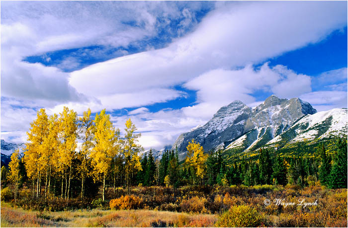 Kananaskis Country Alberta 102 by Wayne Lynch &copy;